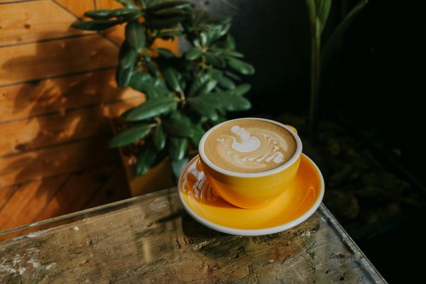 How Can Incorporating Wellness Practices Revolutionize Women's Fashion in the UK?